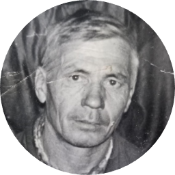 Николай Сергеев