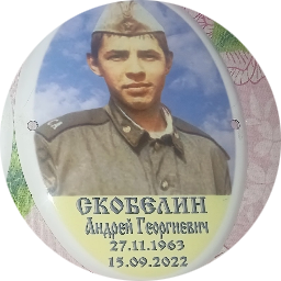 Андрей Скобелин