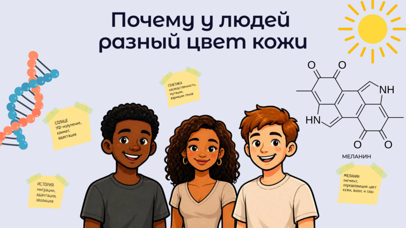 Почему у людей разный цвет кожи: меланин, солнце и генетика